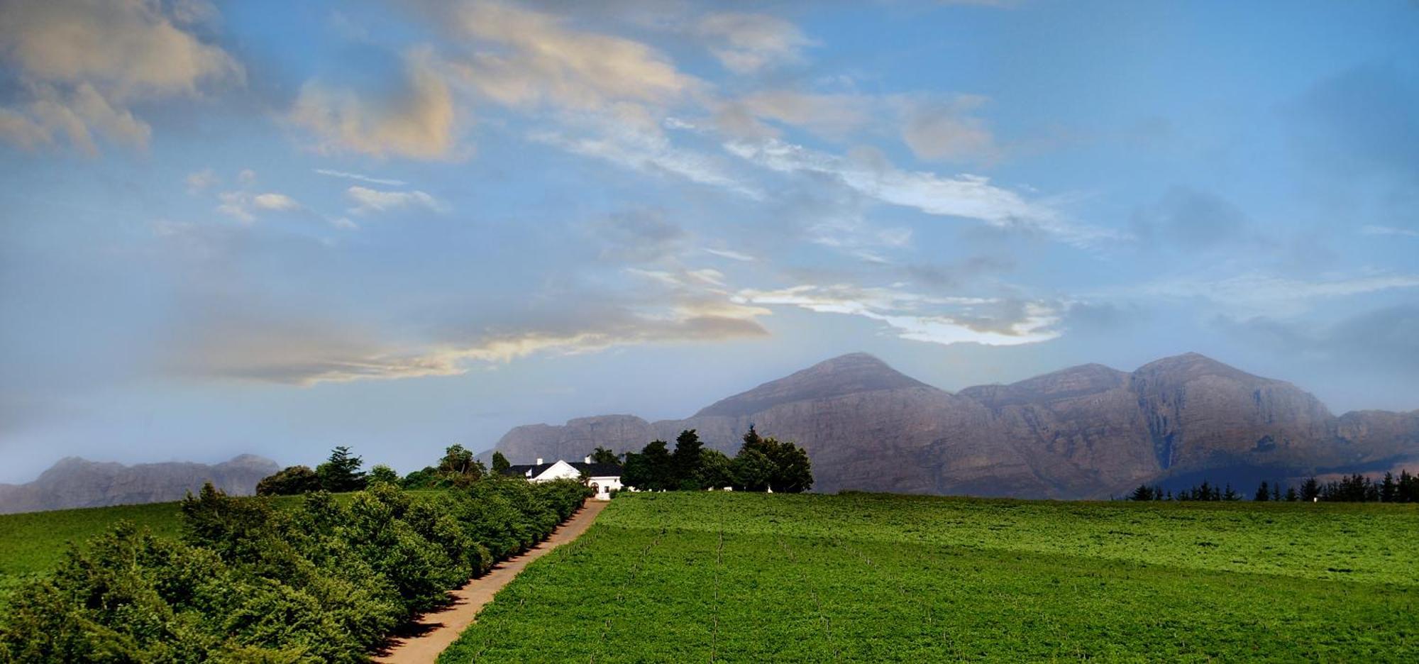 Bakenhof Winelands Lodge Paarl Kültér fotó