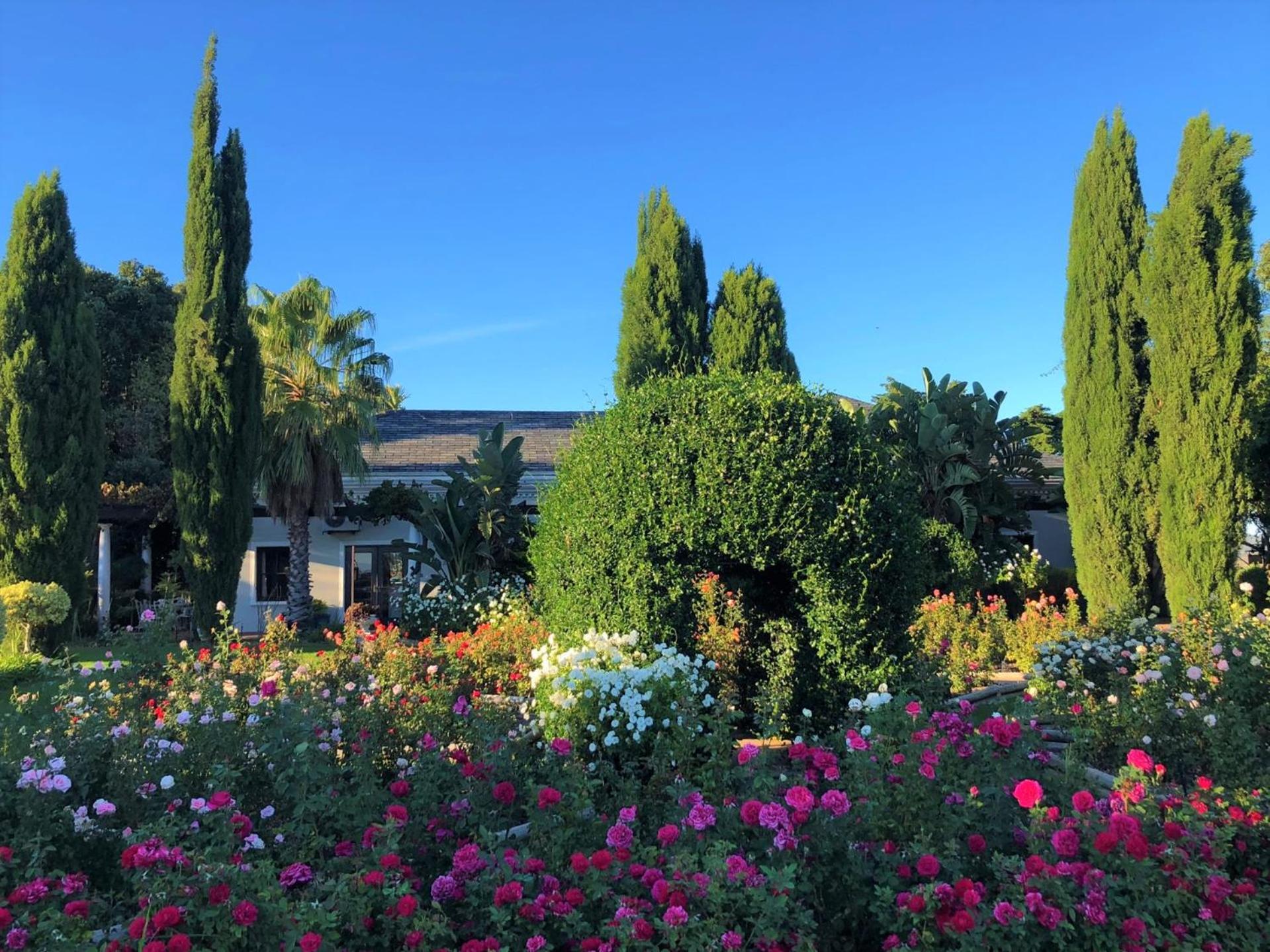 Bakenhof Winelands Lodge Paarl Kültér fotó