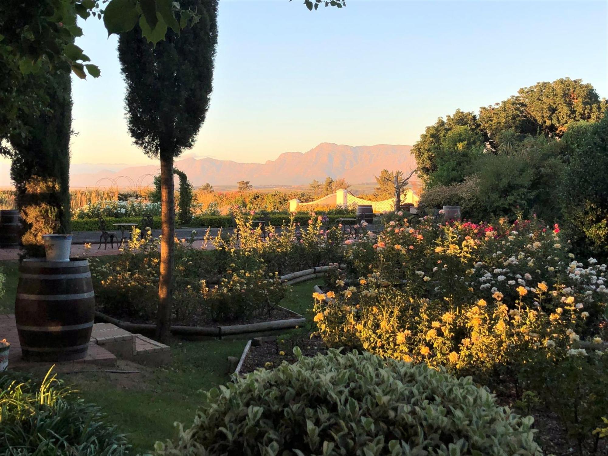 Bakenhof Winelands Lodge Paarl Kültér fotó